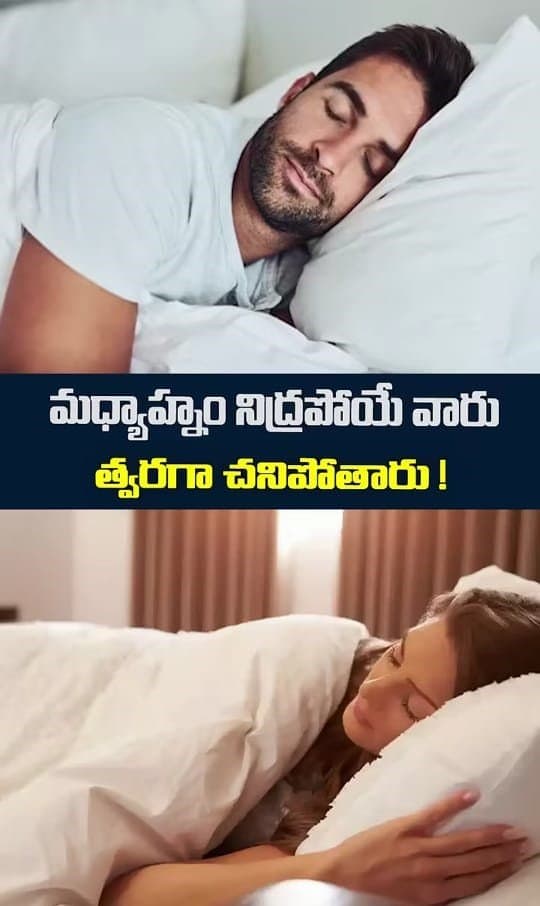 Post media