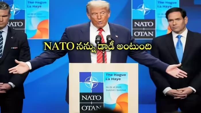 Post media