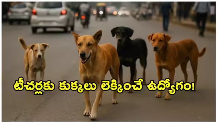 Post media