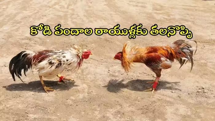 Post media