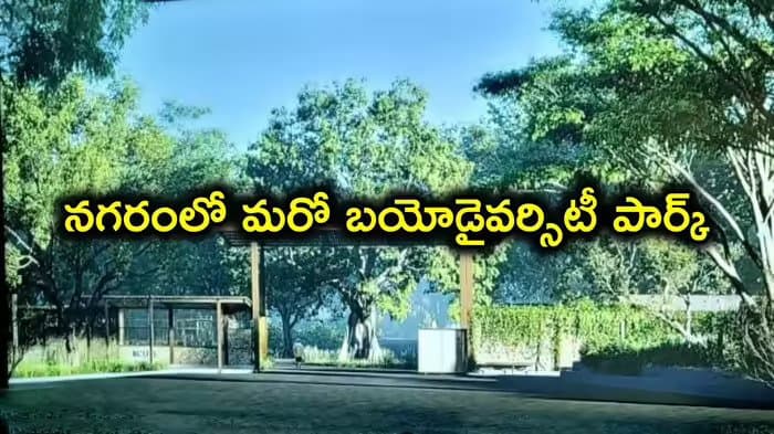 Post media