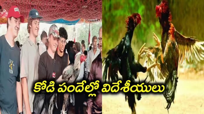 Post media
