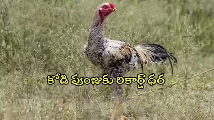 Post media